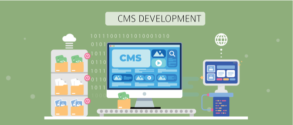 Customized CMS Development